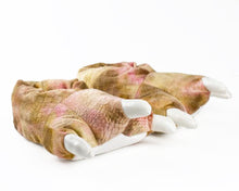 Load image into Gallery viewer, Brown Dinosaur Claw Slippers View of Pair