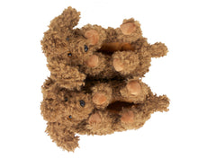 Load image into Gallery viewer, top view of doodle dog slippers