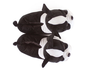 Boston Terrier Dog Slippers Top View