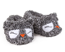 Load image into Gallery viewer, Owl Slippers 3/4 View
