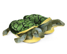 Load image into Gallery viewer, Turtle Slippers 3/4 View
