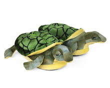 Load image into Gallery viewer, Turtle Slippers 3/4 View