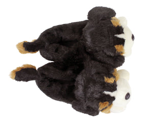 Bernese Mountain Dog Slippers Top View