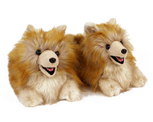 Load image into Gallery viewer, Pomeranian Dog Slippers 3/4 View
