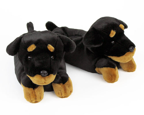 Rottweiler Slippers 3/4 View